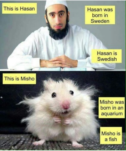 Misho.jpg Misho.jpg