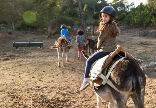 Passeios_de_Burro_creditos_PSML_Wilson_ Pereira.jp Passeios_de_Burro_creditos_PSML_Wilson_ Pereira.jp