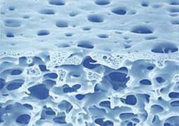 Porous membrane.jpg