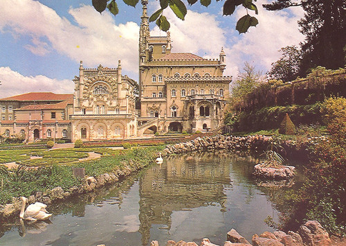 bussac (2).jpg bussac (2).jpg