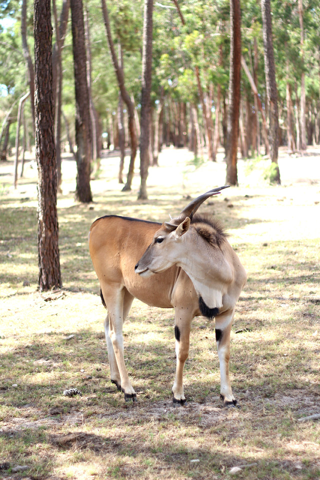 IMG_1941_a.jpg IMG_1941_a.jpg