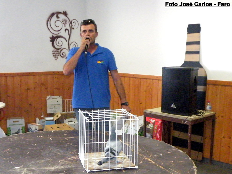 Leilão Ervidel 029.JPG Leilão Ervidel 029.JPG