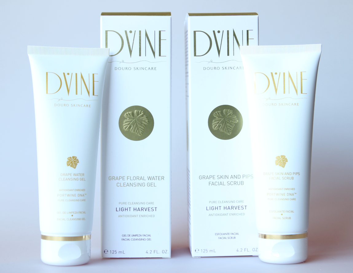 apresentaçao_dvine_produtos.PNG