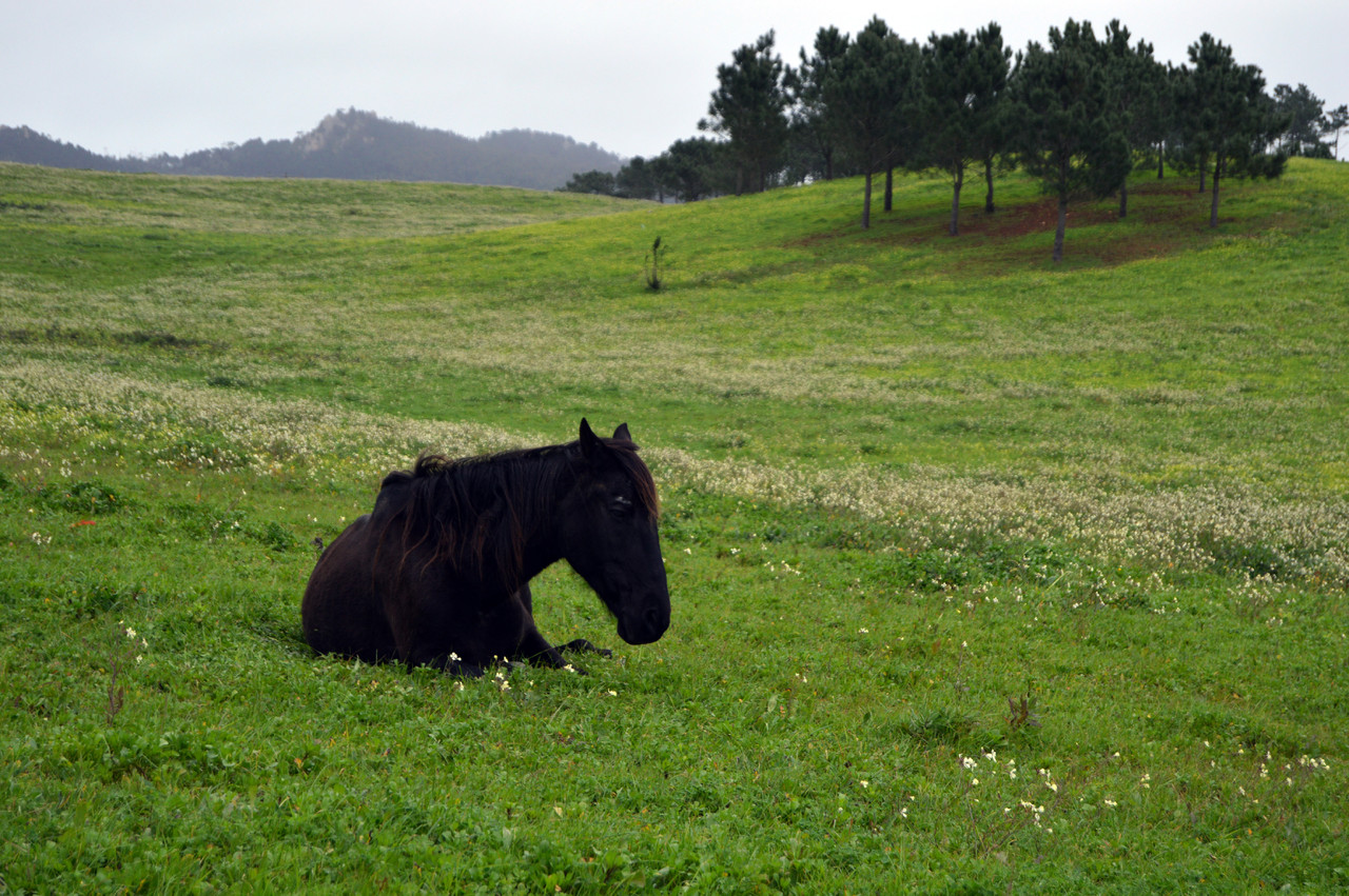 DSC_1168.jpg DSC_1168.jpg