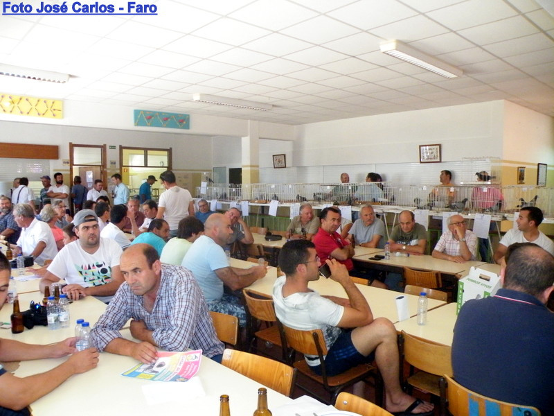 Leilão de Ourique 2016 014.JPG Leilão de Ourique 2016 014.JPG