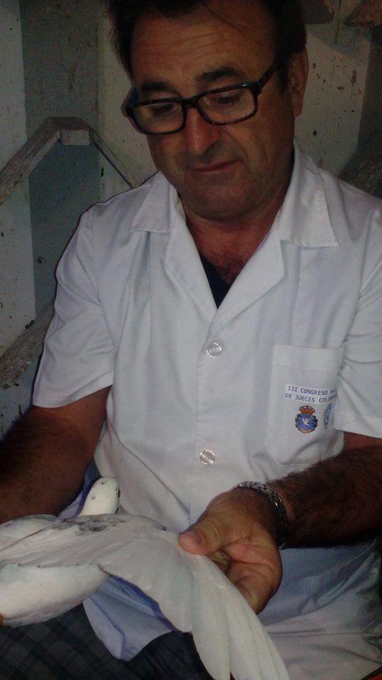 Jaime Pons.jpg Jaime Pons.jpg